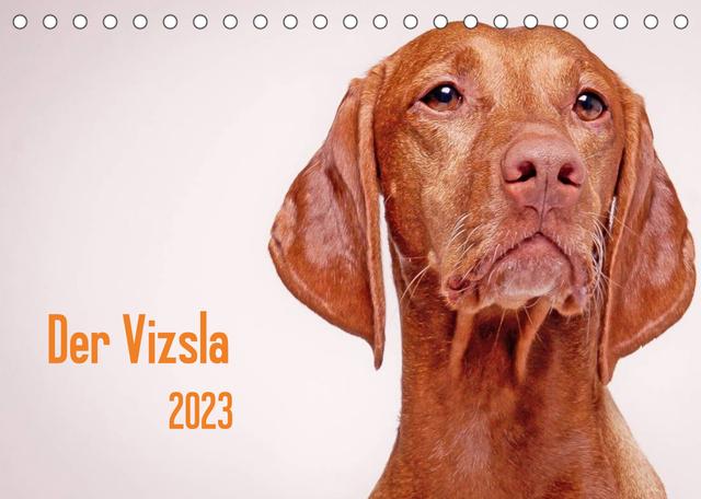 Der Vizsla 2023 (Tischkalender 2023 DIN A5 quer)