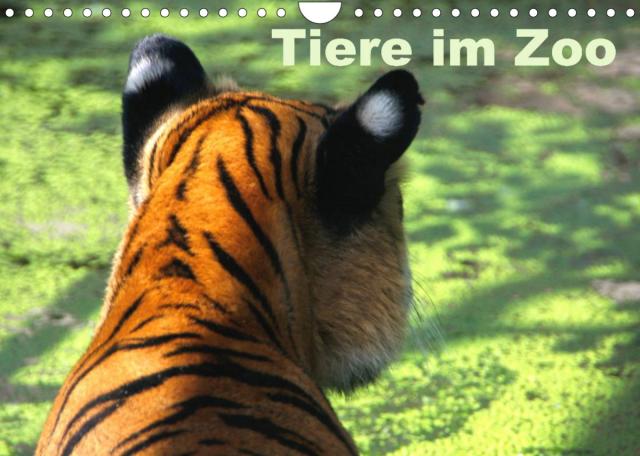 Tiere im Zoo (Wandkalender 2023 DIN A4 quer)
