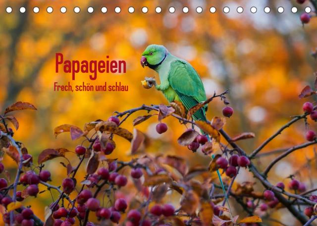Papageien - Frech, schön und schlau (Tischkalender 2023 DIN A5 quer)