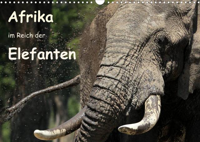 Afrika - im Reich der Elefanten (Wandkalender 2023 DIN A3 quer)