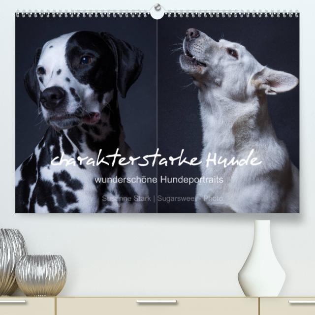 charakterstarke Hunde, wunderschöne Hundeportraits (Premium, hochwertiger DIN A2 Wandkalender 2023, Kunstdruck in Hochglanz)