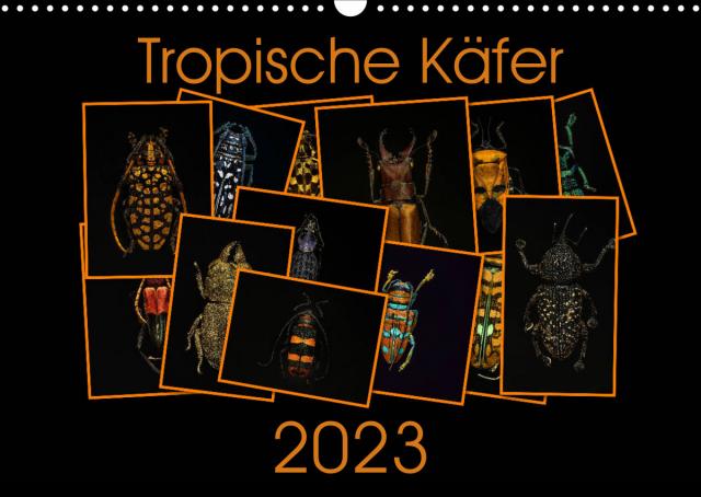 Tropische Käfer (Wandkalender 2023 DIN A3 quer)