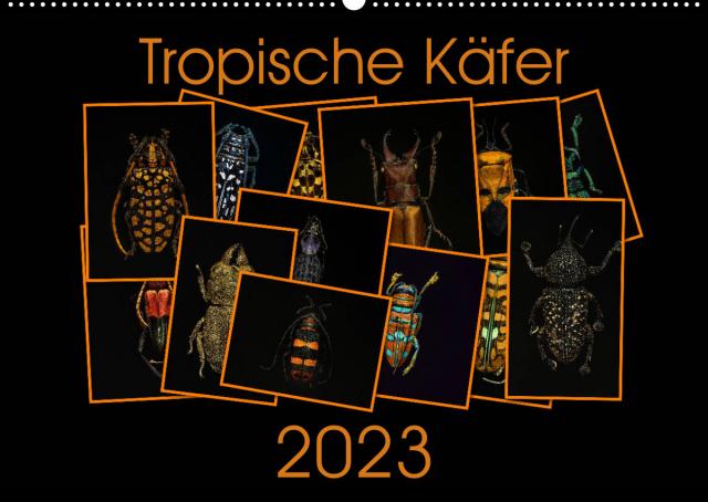 Tropische Käfer (Wandkalender 2023 DIN A2 quer)