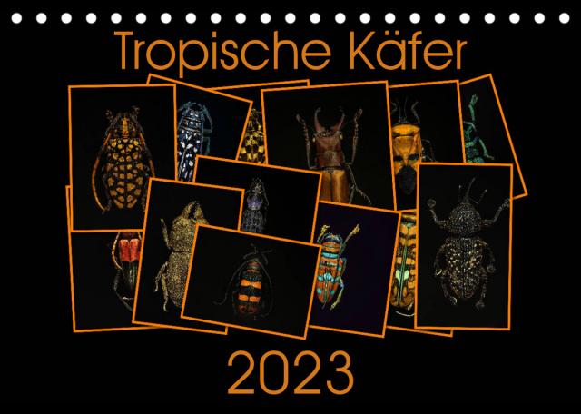 Tropische Käfer (Tischkalender 2023 DIN A5 quer)