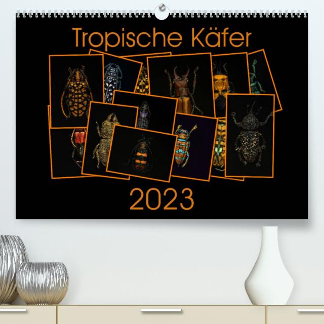 Tropische Käfer (Premium, hochwertiger DIN A2 Wandkalender 2023, Kunstdruck in Hochglanz)