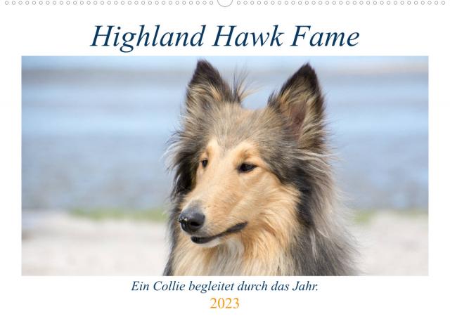 Highland Hawk Fame - Ein Collie begleitet durch das Jahr (Wandkalender 2023 DIN A2 quer)