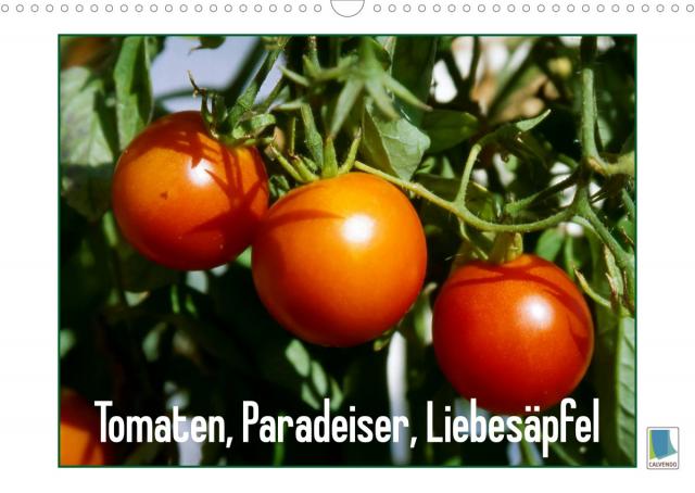 Tomaten, Paradeiser, Liebesäpfel (Wandkalender 2023 DIN A3 quer)
