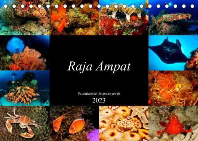 Raja Ampat - Faszinierende Unterwasserwelt (Tischkalender 2023 DIN A5 quer)