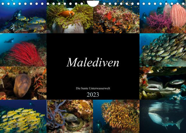 Malediven - Die bunte Unterwasserwelt (Wandkalender 2023 DIN A4 quer)