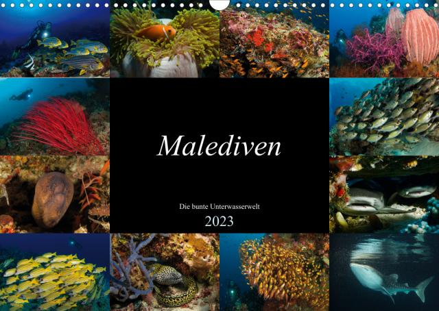 Malediven - Die bunte Unterwasserwelt (Wandkalender 2023 DIN A3 quer)