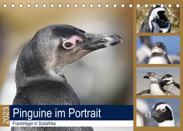Pinguine im Portrait - Frackträger in Südafrika (Tischkalender 2023 DIN A5 quer)