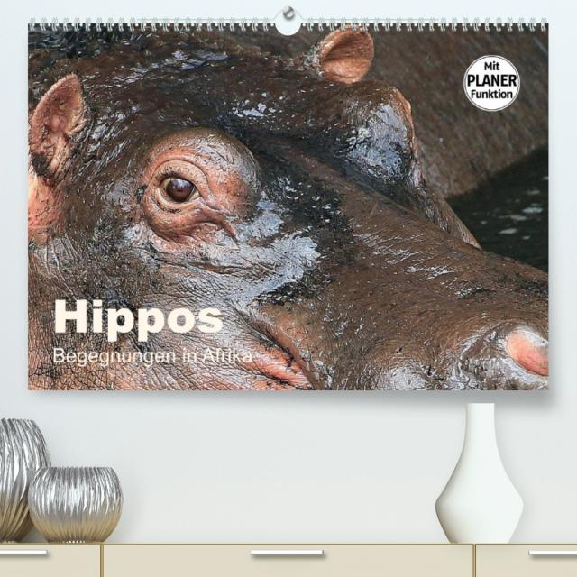 Hippos - Begegnungen in Afrika (Premium, hochwertiger DIN A2 Wandkalender 2023, Kunstdruck in Hochglanz)