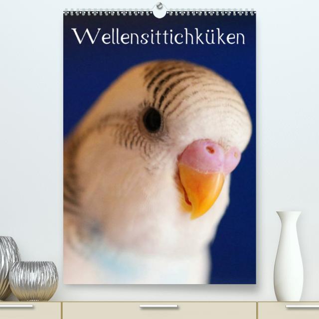 Wellensittichküken (Premium, hochwertiger DIN A2 Wandkalender 2023, Kunstdruck in Hochglanz)