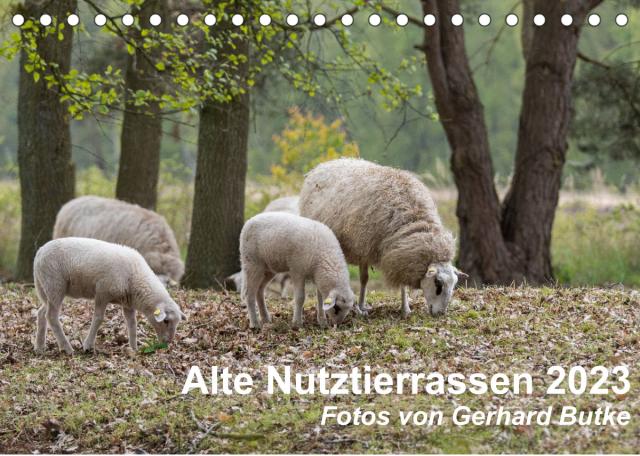 Alte Nutztierrassen 2023 (Tischkalender 2023 DIN A5 quer)