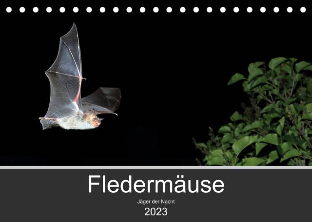 Fledermäuse - Jäger der Nacht (Tischkalender 2023 DIN A5 quer)
