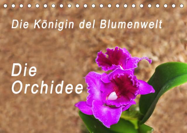 Die Königin der Blumenwelt, die Orchidee (Tischkalender 2023 DIN A5 quer)