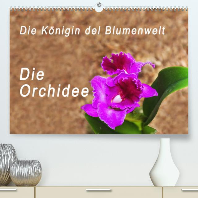 Die Königin der Blumenwelt, die Orchidee (Premium, hochwertiger DIN A2 Wandkalender 2023, Kunstdruck in Hochglanz)
