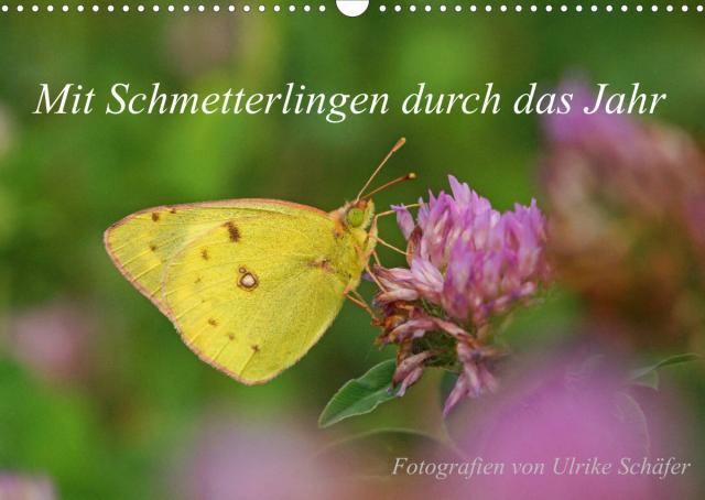 Mit Schmetterlingen durch das Jahr (Wandkalender 2023 DIN A3 quer)