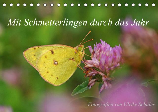 Mit Schmetterlingen durch das Jahr (Tischkalender 2023 DIN A5 quer)