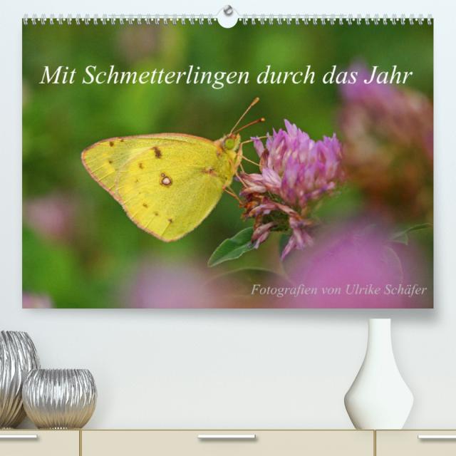 Mit Schmetterlingen durch das Jahr (Premium, hochwertiger DIN A2 Wandkalender 2023, Kunstdruck in Hochglanz)