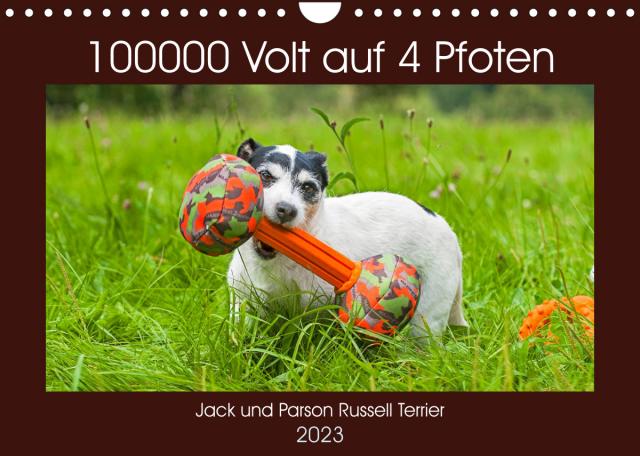 100000 Volt auf vier Pfoten - Jack und Parson Russell Terrier (Wandkalender 2023 DIN A4 quer)
