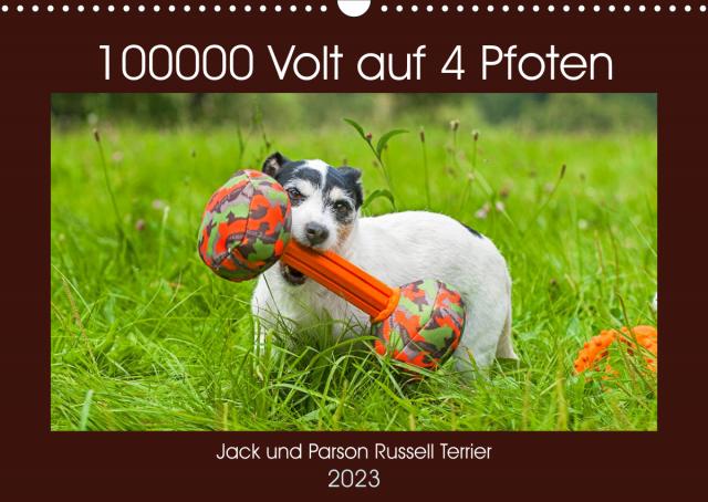 100000 Volt auf vier Pfoten - Jack und Parson Russell Terrier (Wandkalender 2023 DIN A3 quer)