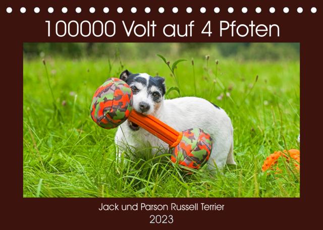 100000 Volt auf vier Pfoten - Jack und Parson Russell Terrier (Tischkalender 2023 DIN A5 quer)
