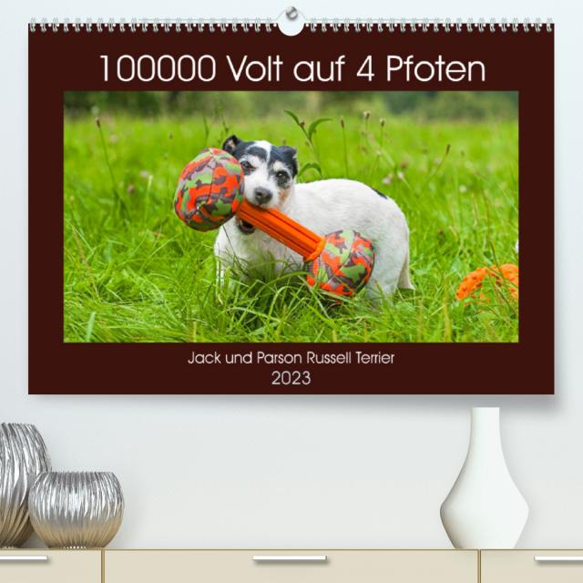 100000 Volt auf vier Pfoten - Jack und Parson Russell Terrier (Premium, hochwertiger DIN A2 Wandkalender 2023, Kunstdruck in Hochglanz)