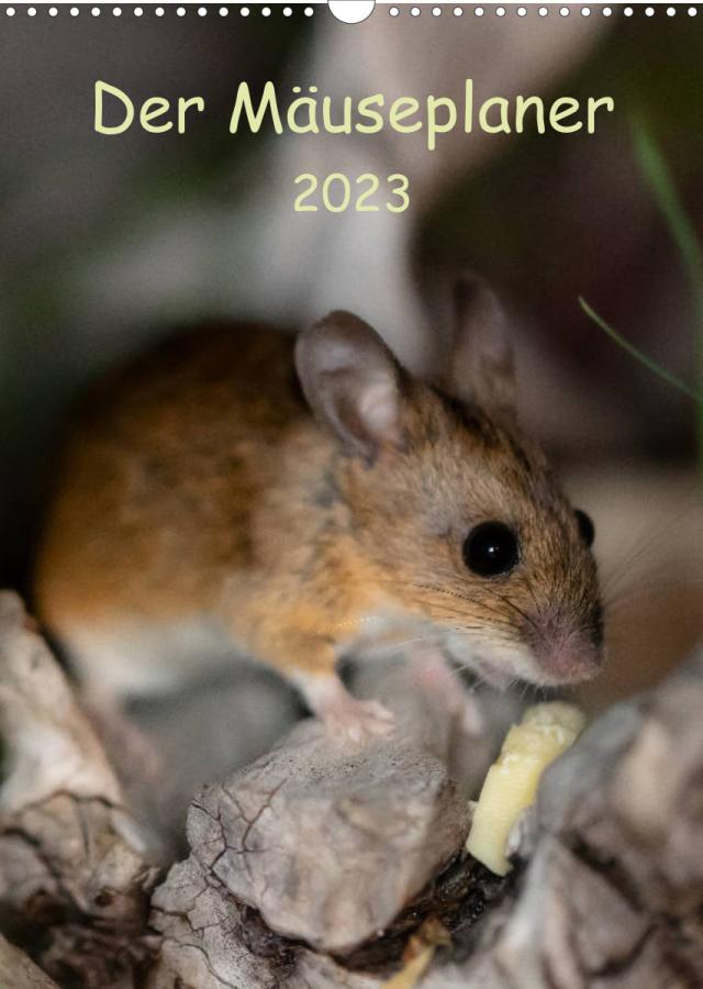 Der Mäuseplaner (Wandkalender 2023 DIN A3 hoch)