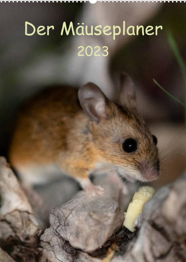 Der Mäuseplaner (Wandkalender 2023 DIN A2 hoch)