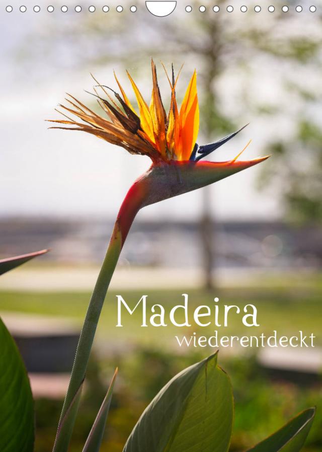 Madeira - wiederentdeckt (Wandkalender 2023 DIN A4 hoch)