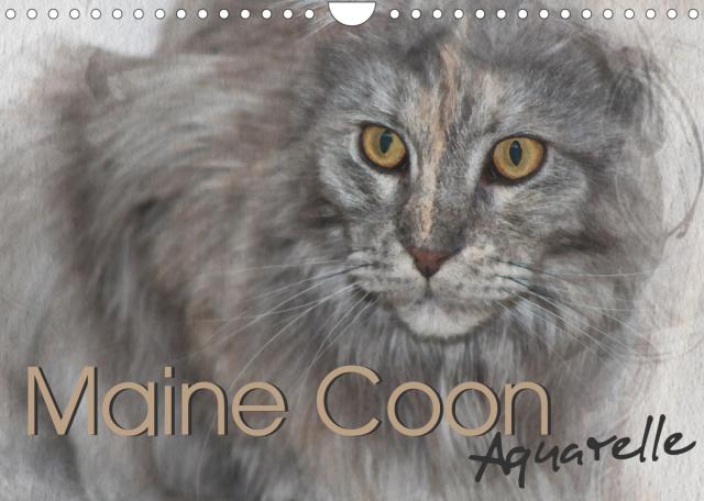 Maine Coon Aquarelle (Wandkalender 2023 DIN A4 quer)