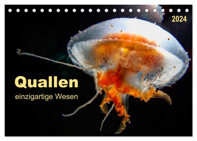 Quallen - einzigartige Wesen (Tischkalender 2024 DIN A5 quer), CALVENDO Monatskalender