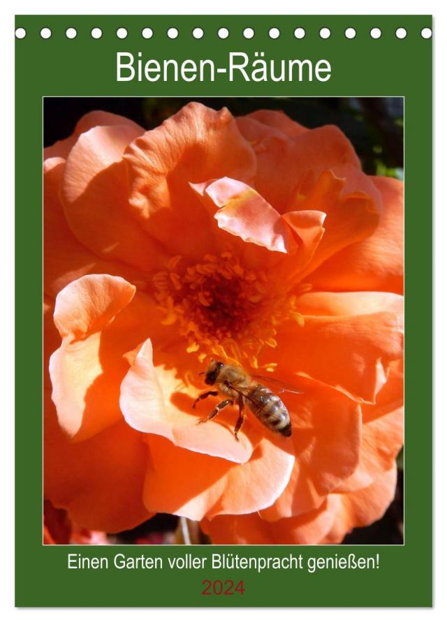 Bienen-Räume (Tischkalender 2024 DIN A5 hoch), CALVENDO Monatskalender