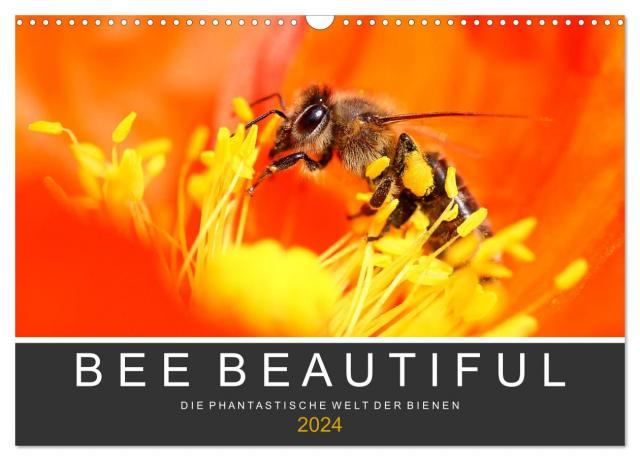 Bee Beautiful - Die phantastische Welt der Bienen (Wandkalender 2024 DIN A3 quer), CALVENDO Monatskalender