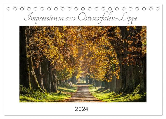 Impressionen aus Ostwestfalen-Lippe (Tischkalender 2024 DIN A5 quer), CALVENDO Monatskalender