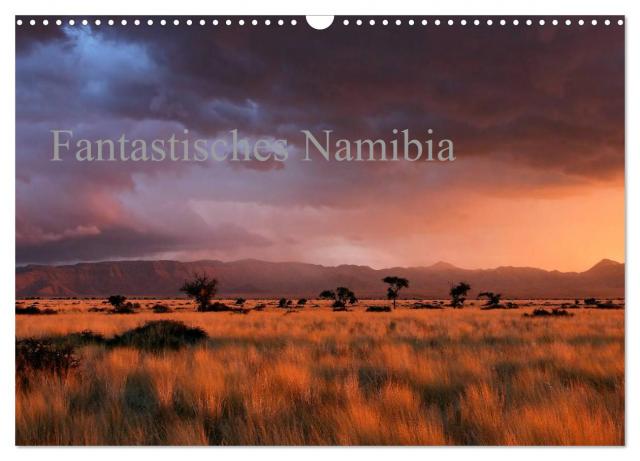 Fantastisches Namibia (Wandkalender 2024 DIN A3 quer), CALVENDO Monatskalender