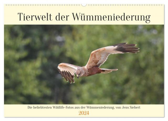 Tierwelt der Wümmeniederung (Wandkalender 2024 DIN A2 quer), CALVENDO Monatskalender