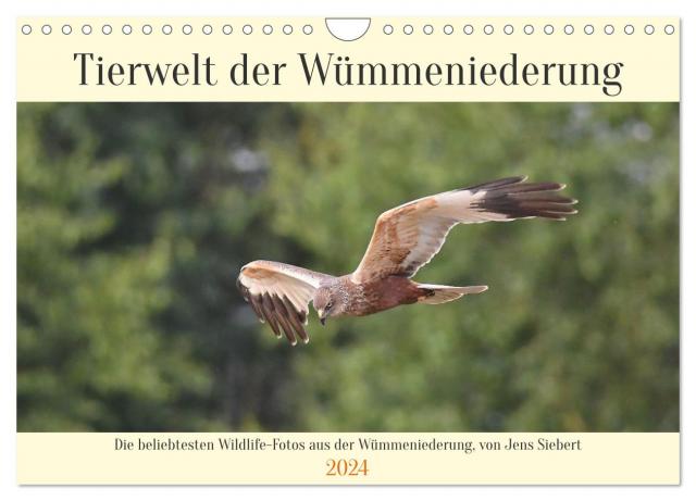 Tierwelt der Wümmeniederung (Wandkalender 2024 DIN A4 quer), CALVENDO Monatskalender