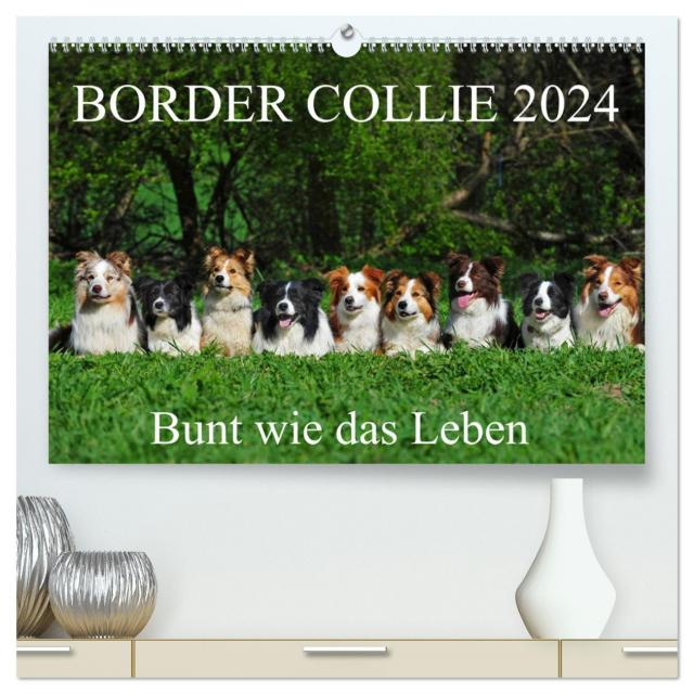 Border Collie 2024 (hochwertiger Premium Wandkalender 2024 DIN A2 quer), Kunstdruck in Hochglanz