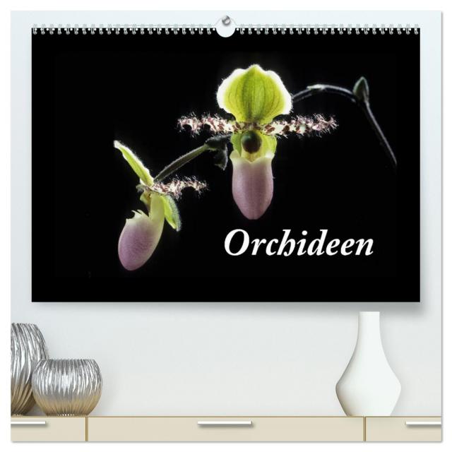 Orchideen 2024 (hochwertiger Premium Wandkalender 2024 DIN A2 quer), Kunstdruck in Hochglanz