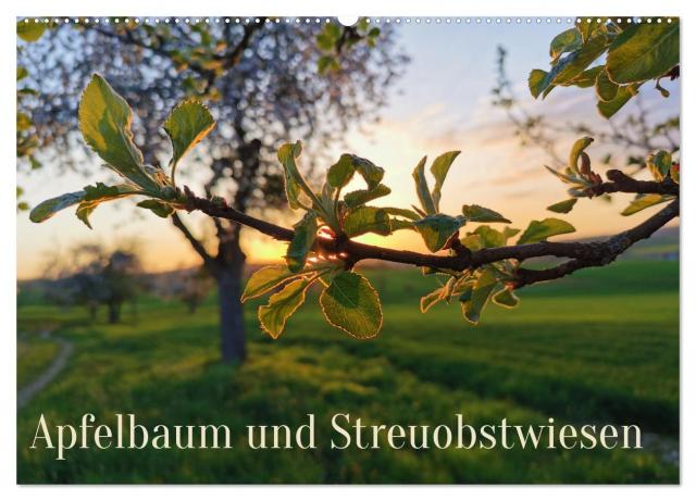 Apfelbaum und Streuobstwiesen (Wandkalender 2024 DIN A2 quer), CALVENDO Monatskalender