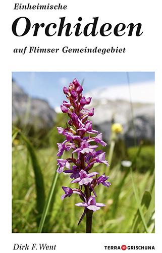 Einheimische Orchideen auf Flimser Gemeindegebiet