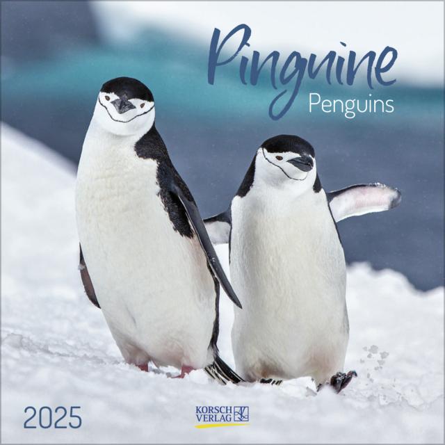 Pinguine 2025