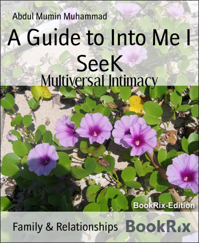 A Guide to Into Me I SeeK