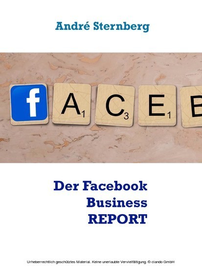 Der Facebook Business REPORT