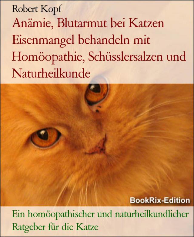 Anämie bei Katzen - Behandlung mit Homöopathie und Schüsslersalzen