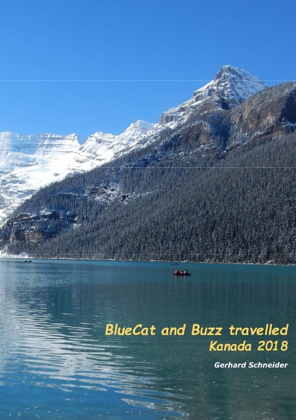 Buzz travelled / BlueCat and Buzz travelled
