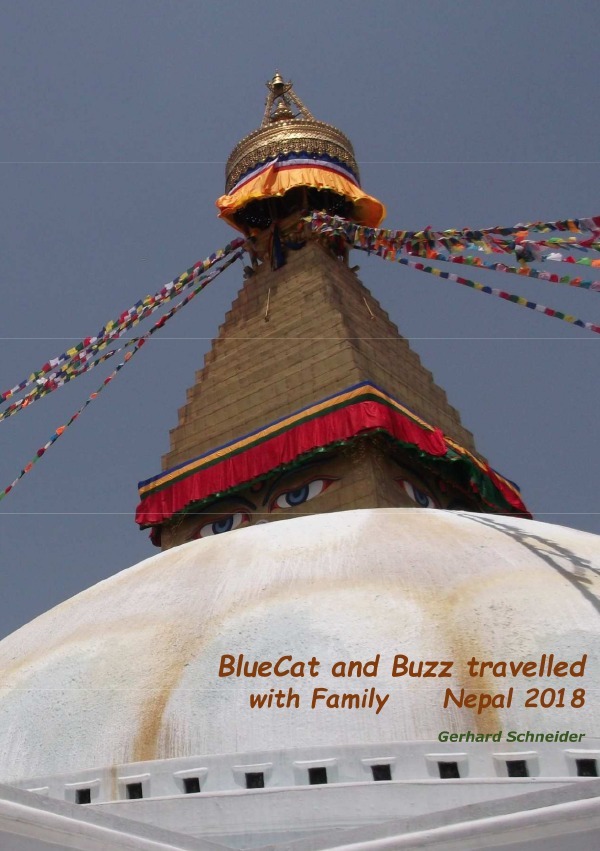 Buzz travelled / BlueCat and Buzz travelled