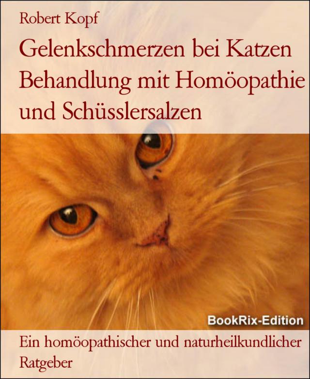 Gelenkschmerzen bei Katzen Behandlung mit Homöopathie und Schüsslersalzen